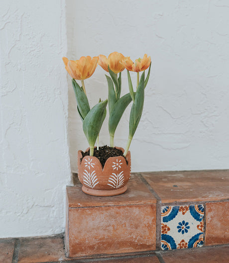 Vasanta Petals Planter with Drainage - Terracotta by Matr Boomie - Sumiye Co