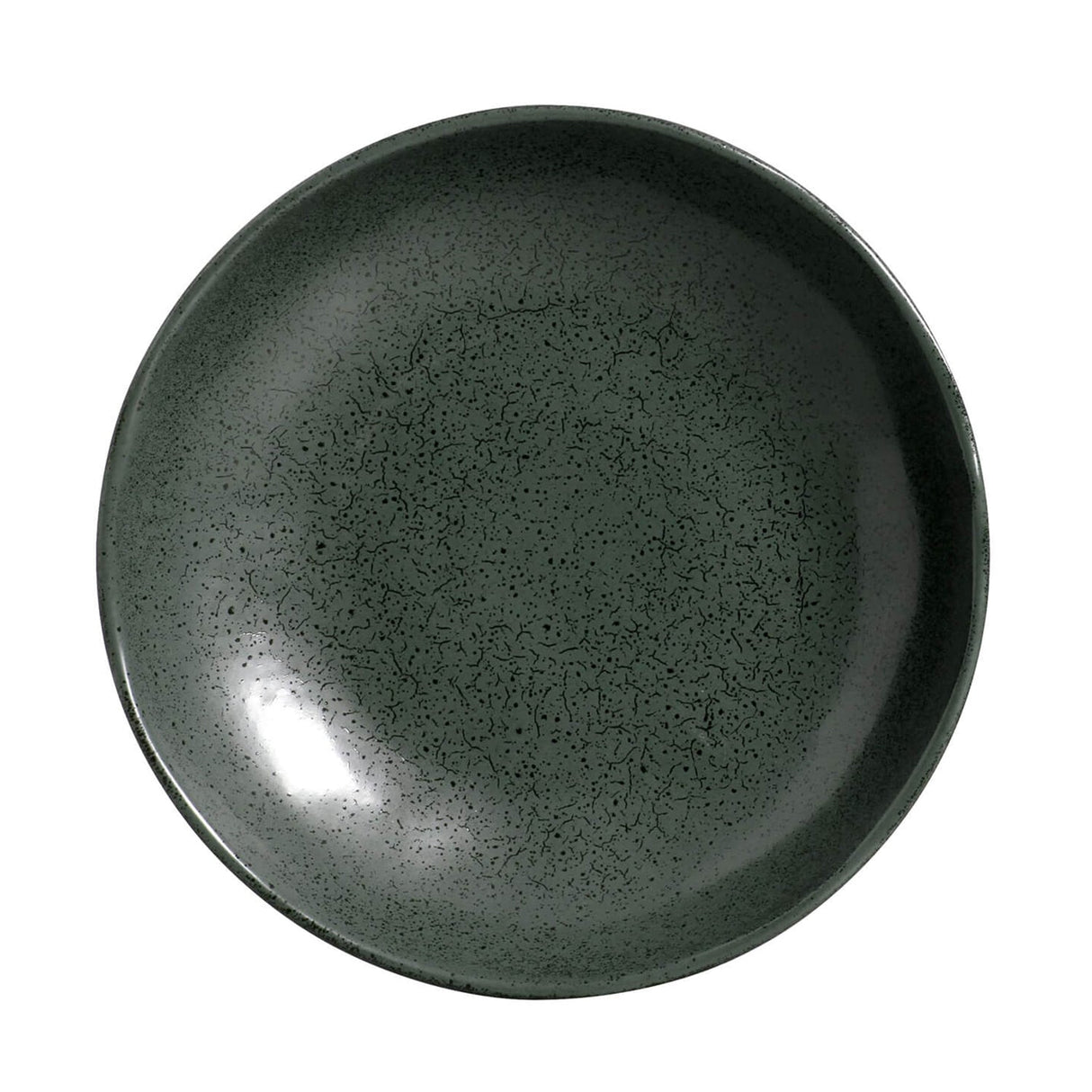 Pasta Plate Set of 6