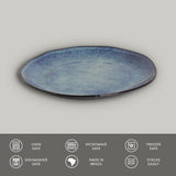 Dinner Plate Set of 6