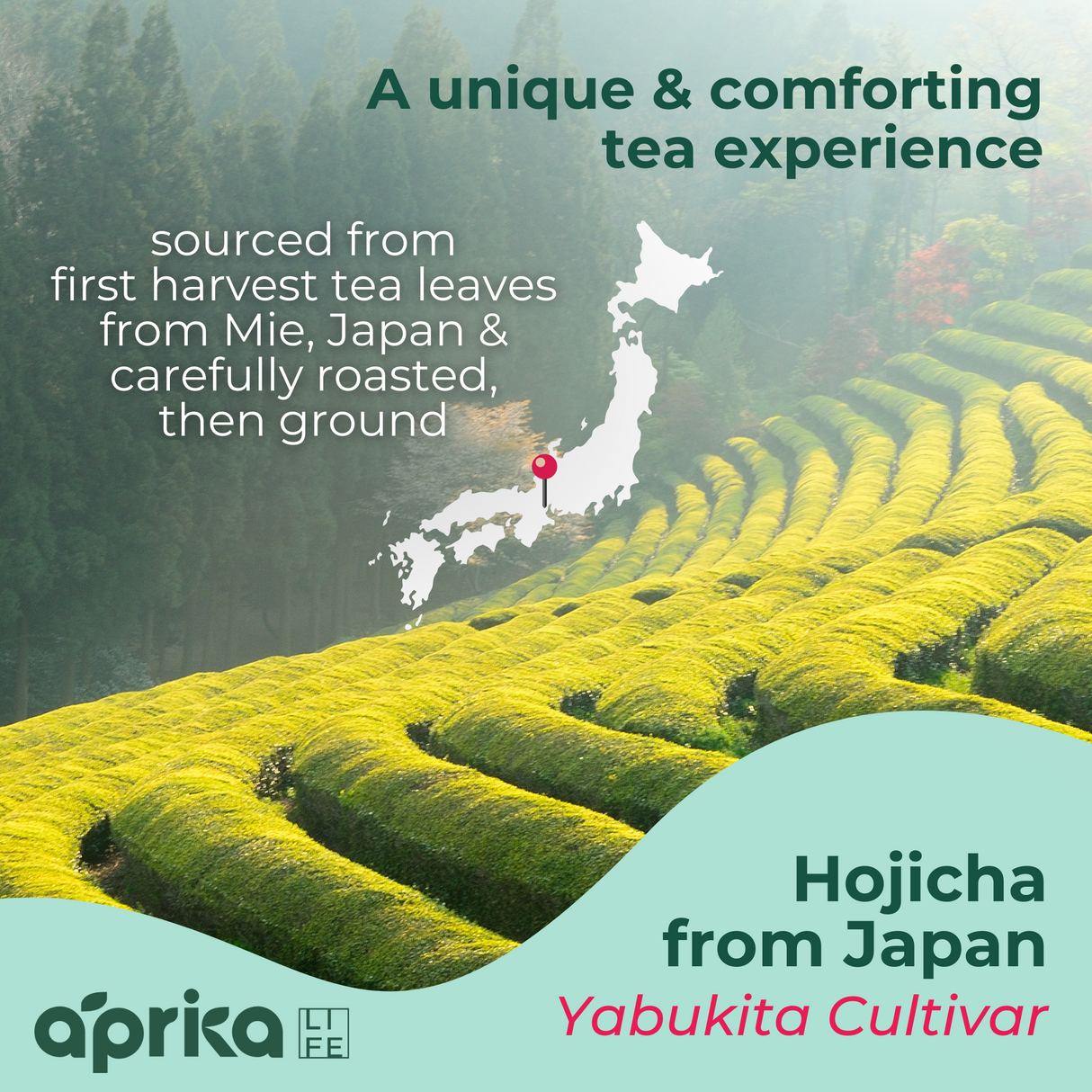 Hojicha Green Tea Powder