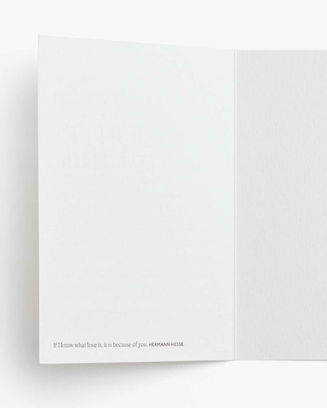 Love Occasion Cards - Love - Sumiye Co