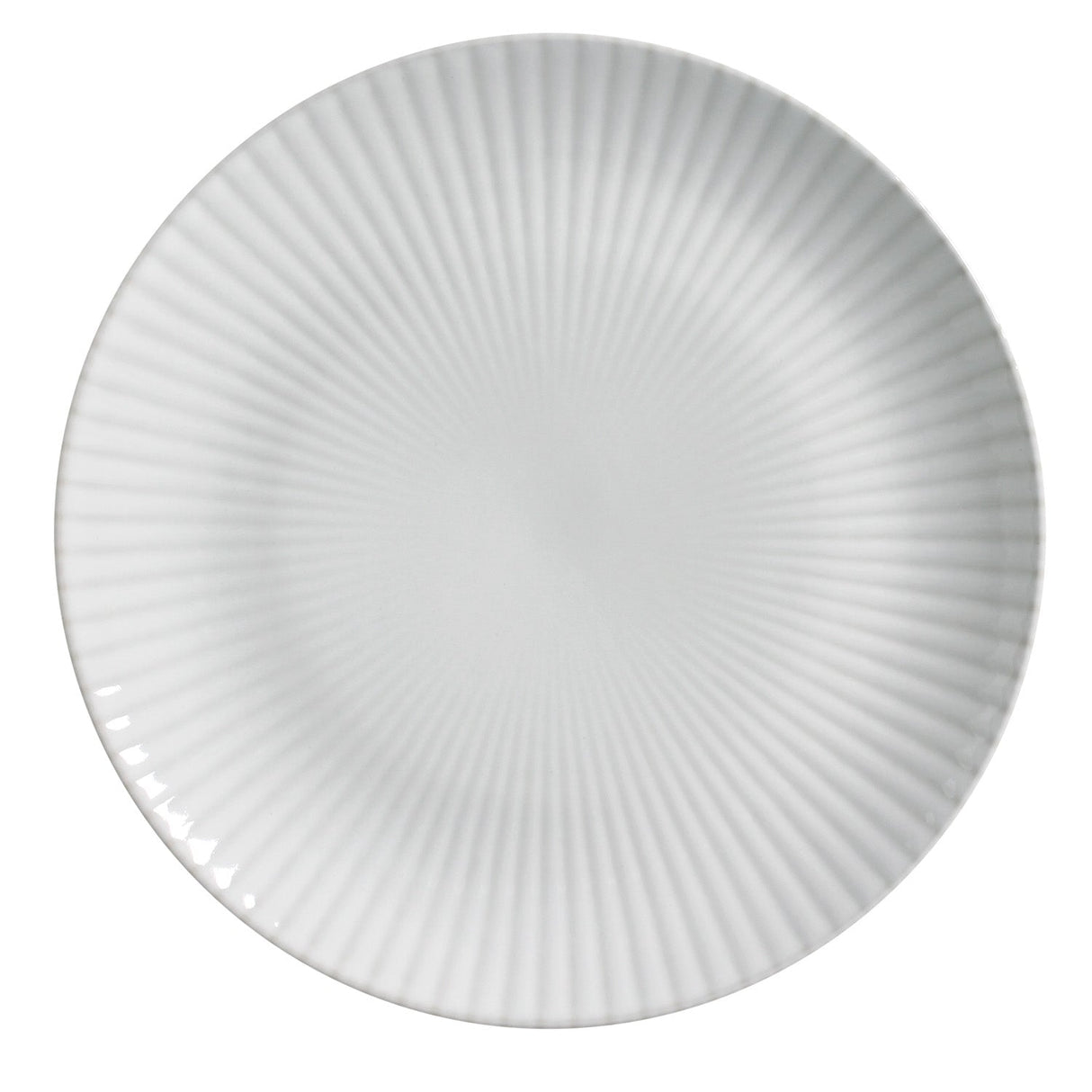 Dinner Plate Set of 6