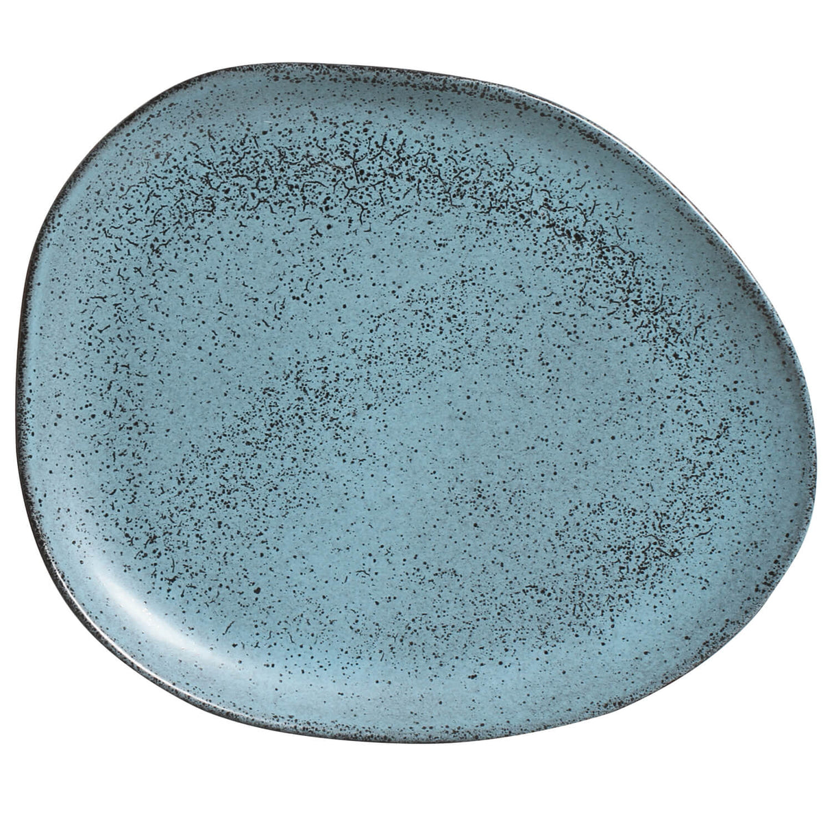 Oval Dinner Plate Set of 6