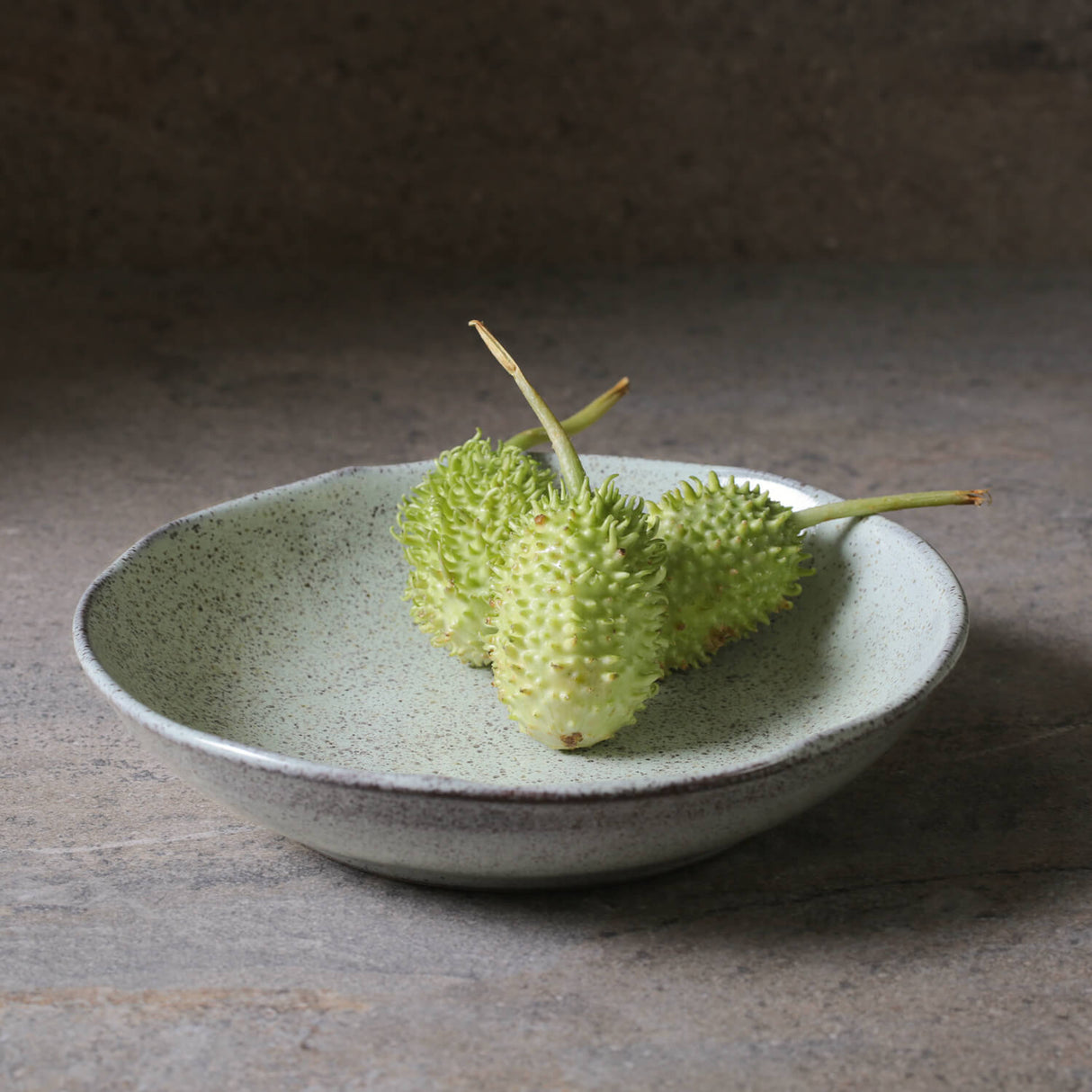Salad Bowl Set of 6