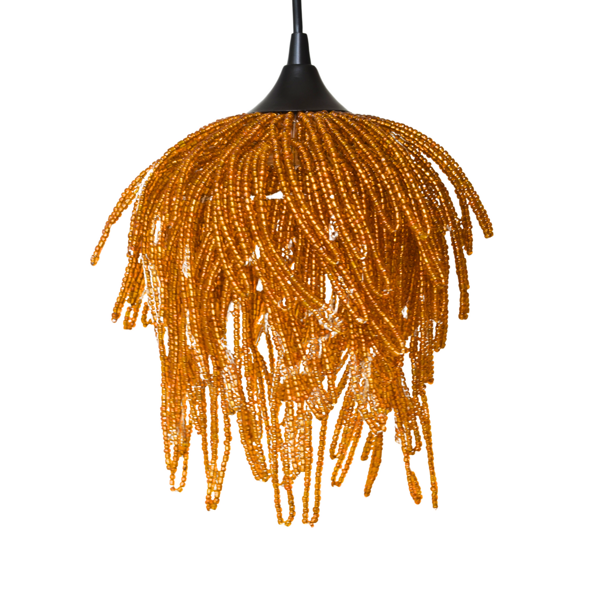 Avian Oranger, Pendant Light