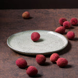 Dinner Plate Set of 6