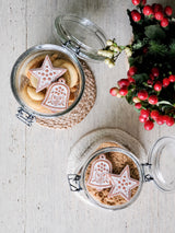 Terracotta Brown Sugar Saver - Set of 4 with Gift Pouch-1