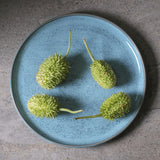Buffet Dinner Plate Set of 6