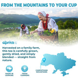 Two people in traditional clothing harvesting tea in a field with mountains in the background, featuring the aprica brand.