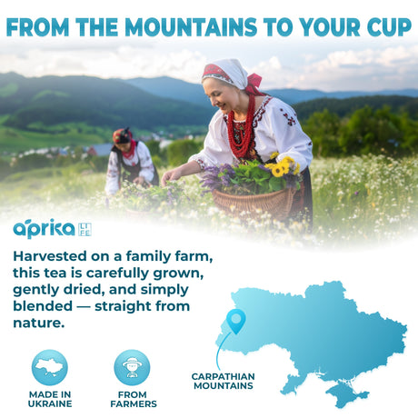 Two people in traditional clothing harvesting tea in a field with mountains in the background, featuring the aprica brand.