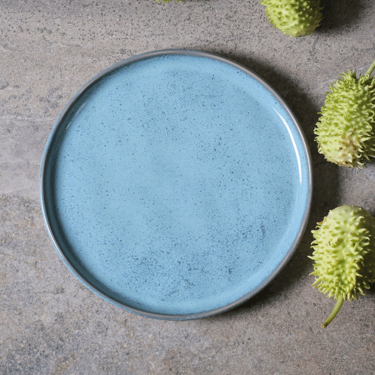 Dinner Plate Set of 6