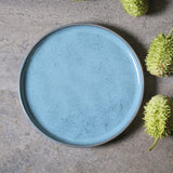 Dinner Plate Set of 6