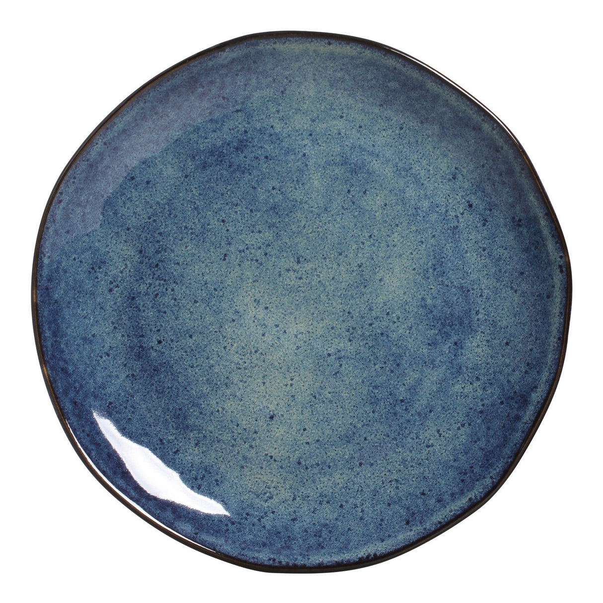 Dinner Plate Set of 6