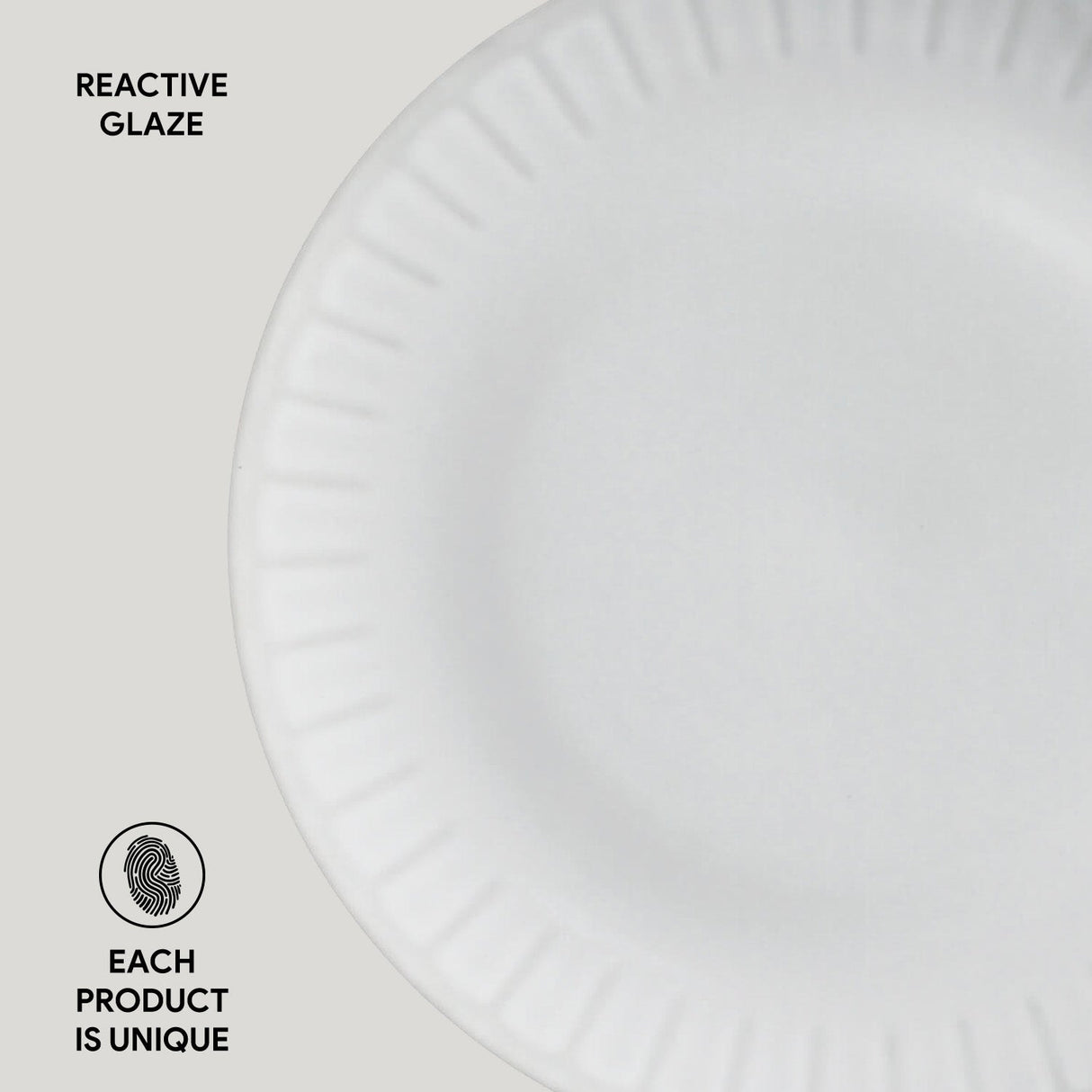 Dinner Plate Set of 6