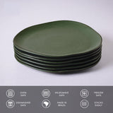 Oval Dinner Plate Set of 6