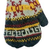 Yeti Mitten