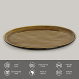 Dinner Plate Set of 6