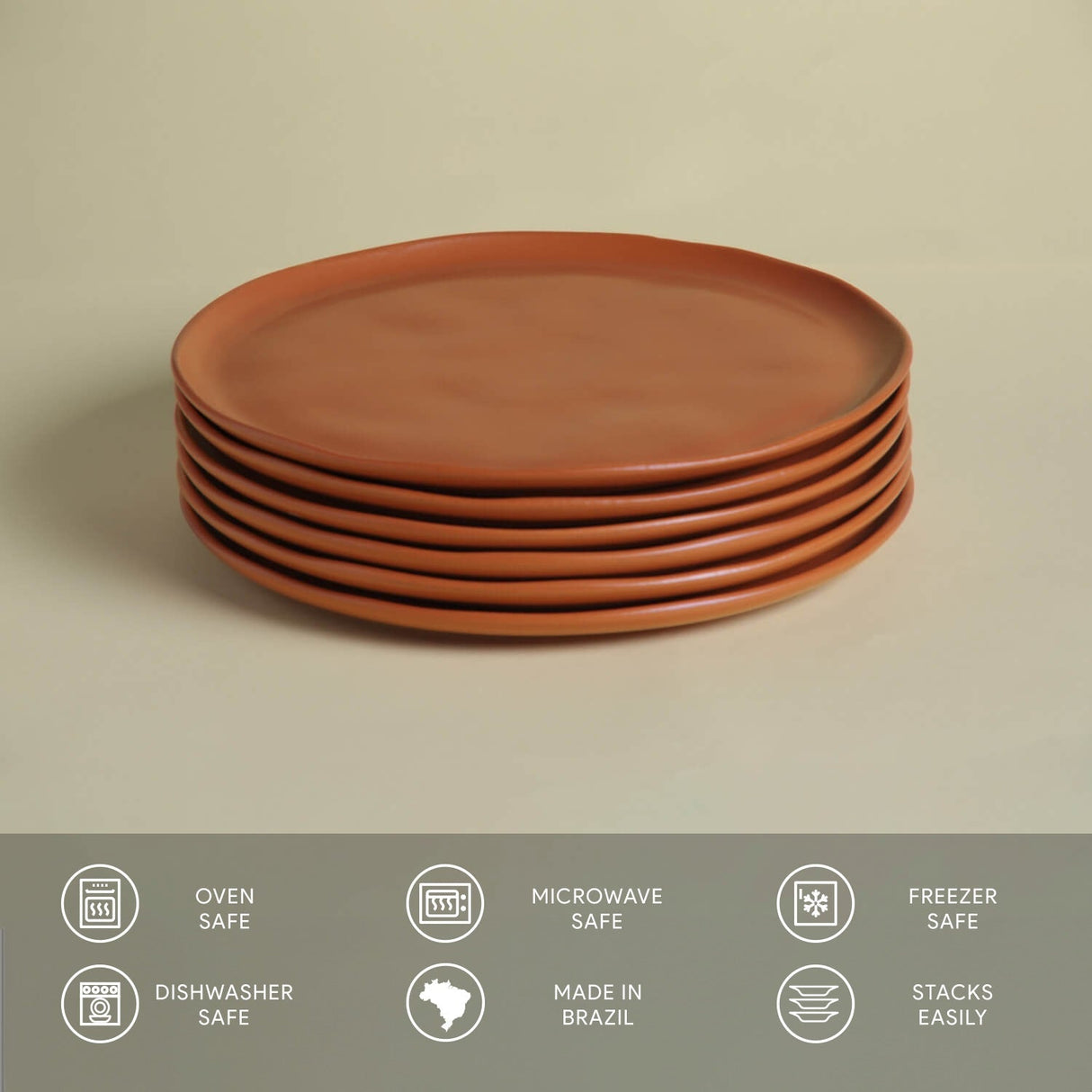 Dinner Plate Set of 6
