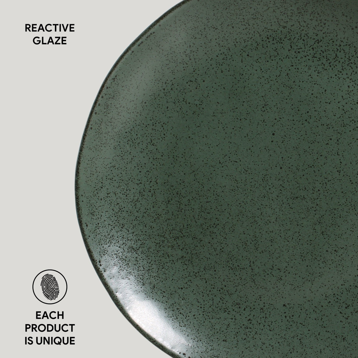 Dinner Plate Set of 6