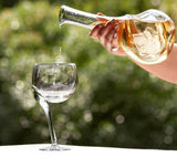 Wine Cooler Decanter - Sumiye Co