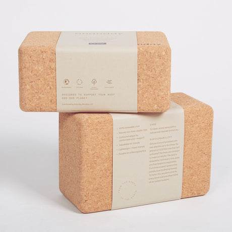Cork Yoga Block Set - Sumiye Co