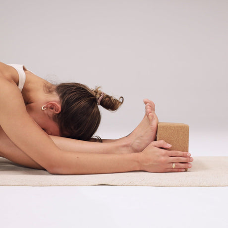 Cork Yoga Block Set - Sumiye Co