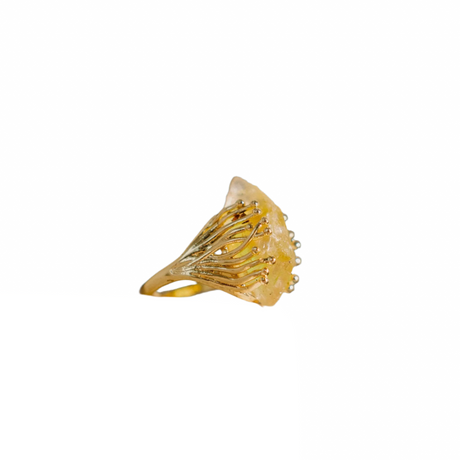 Gold ring with intricate design on a white background