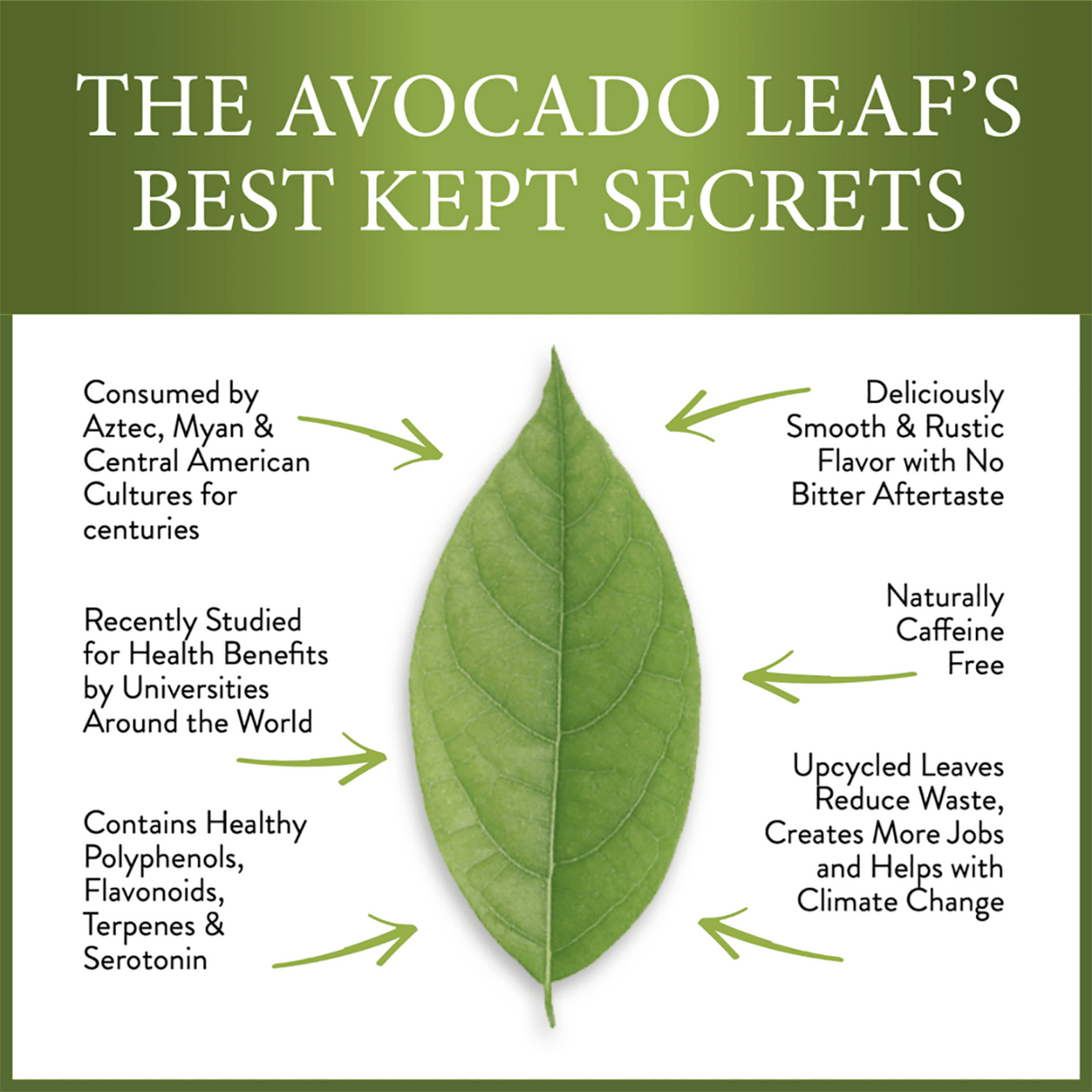 2 Pack Avocado Leaf Tea Black Tea Blend - Sumiye Co