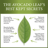 2 Pack Avocado Leaf Tea Black Tea Blend - Sumiye Co