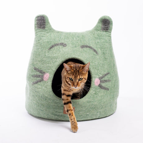 Cat Face Design | Ear Style Cave - Sumiye Co