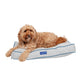 Bondi Eco-Fabric Mattress Dog Bed-2