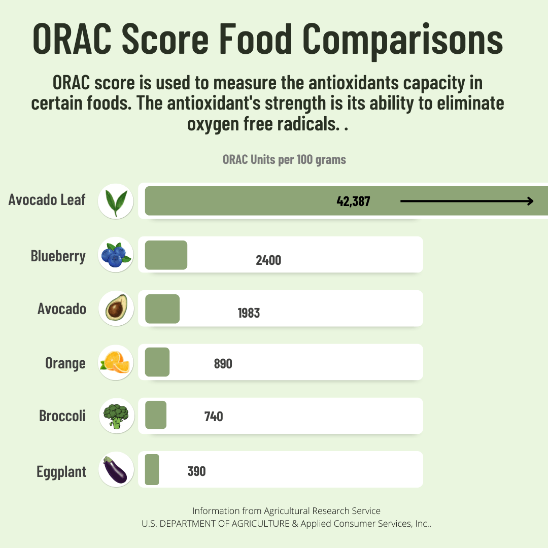 Avocado Leaf Tea Black Tea Blend - Sumiye Co