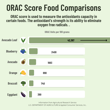 Avocado Tea Party With Five Blends - Sumiye Co