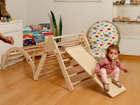 Montessori Indoor Playground | Pikler Triangle & Climbing Arch-0