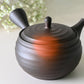 Japanese Green Tea Set - Teapot with Filters (270ml) + 2 Cups