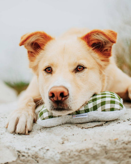 Pet Toy Lavender Zenbone - Sumiye Co