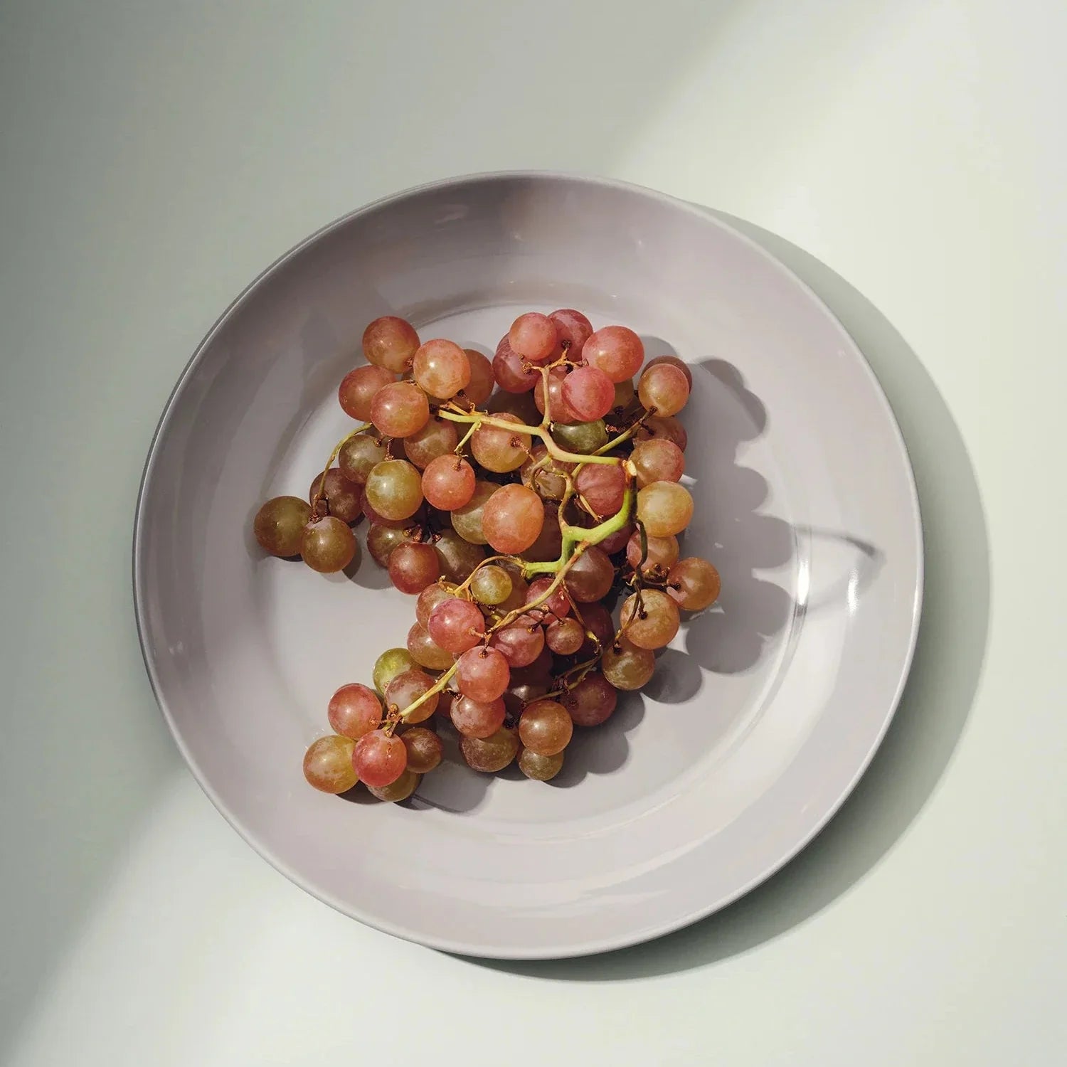 Large Plate (Set of 4) - Sumiye Co