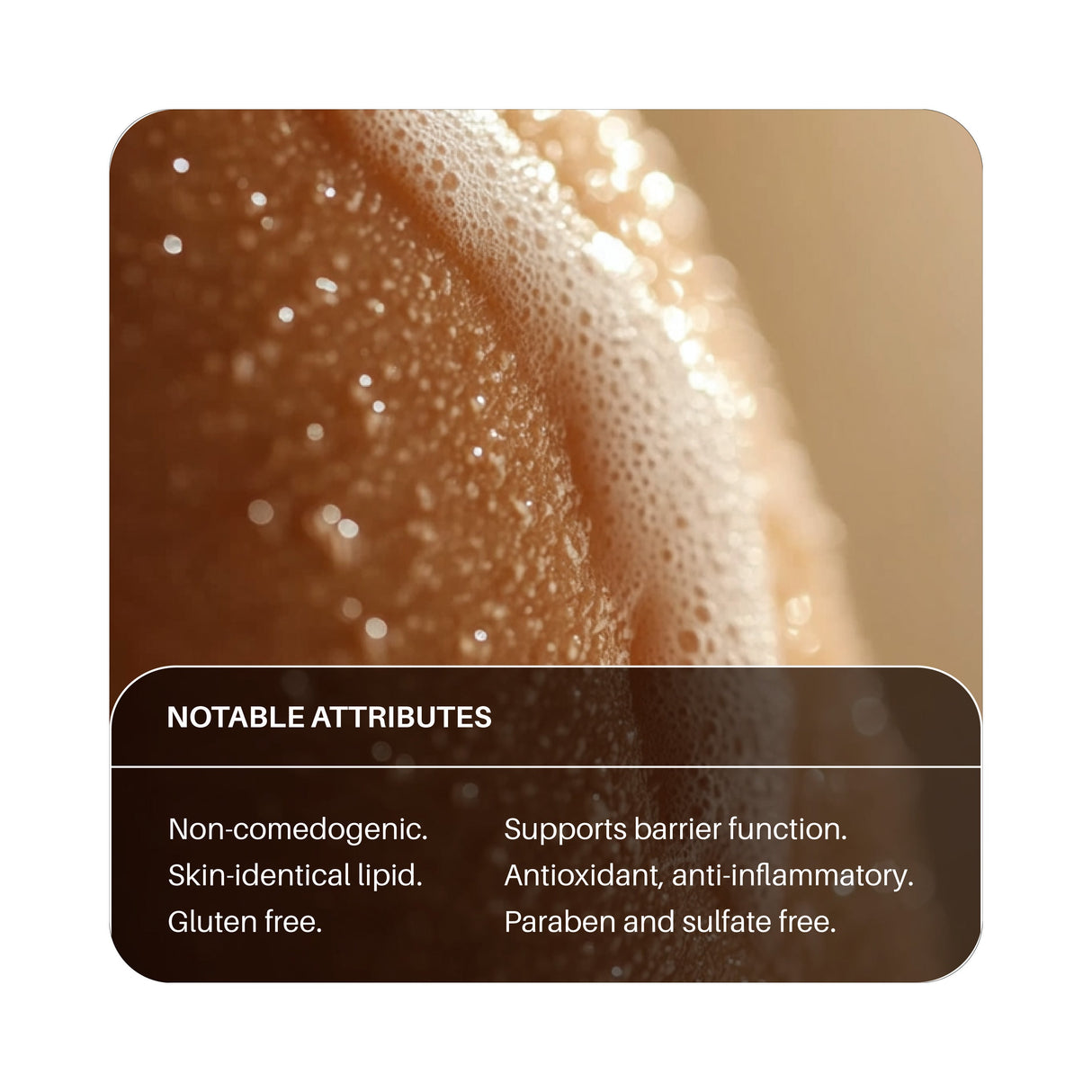 Hand & Body Soap Refill by Everneat
