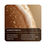 Hand & Body Soap Refill by Everneat