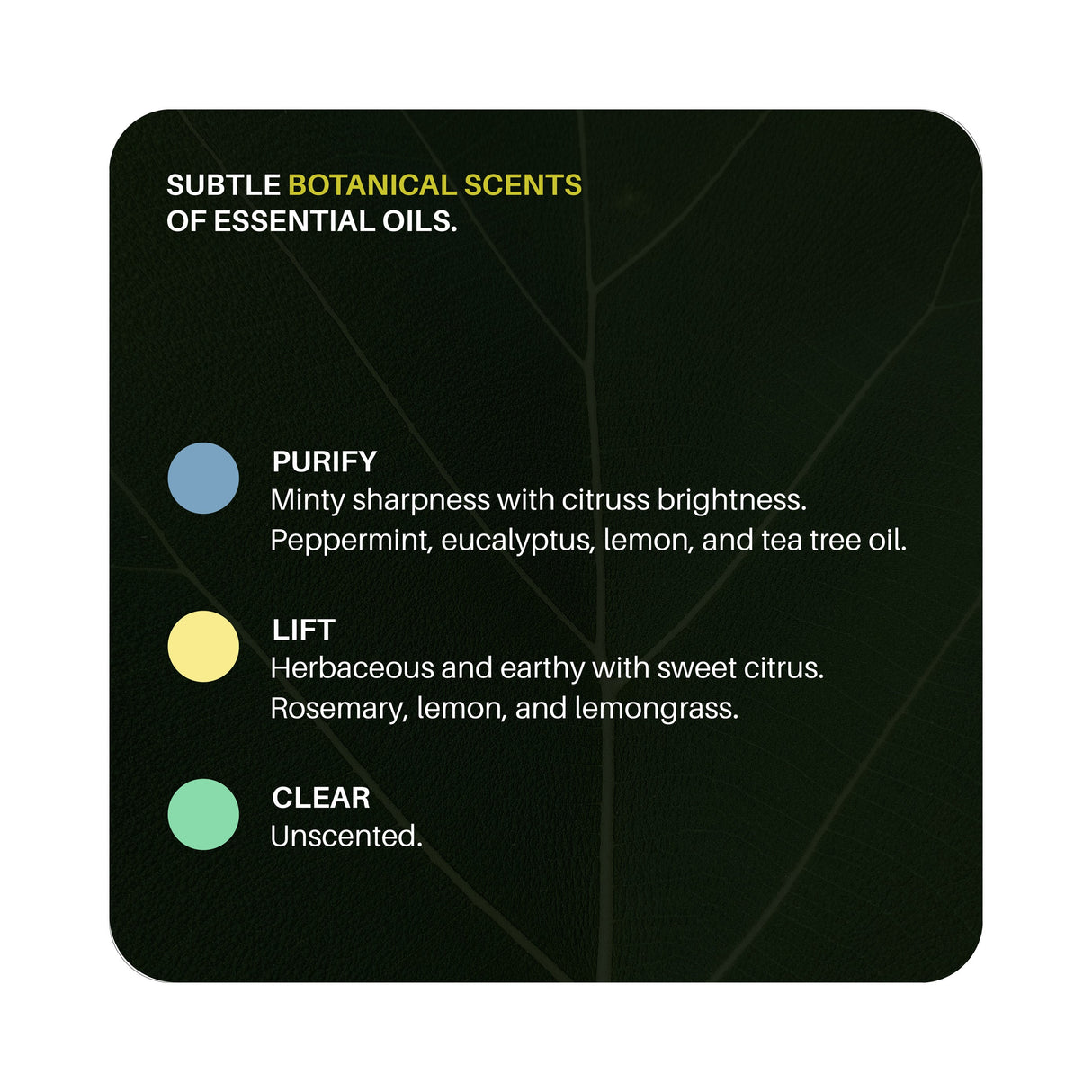 Hand & Body Soap Refill by Everneat