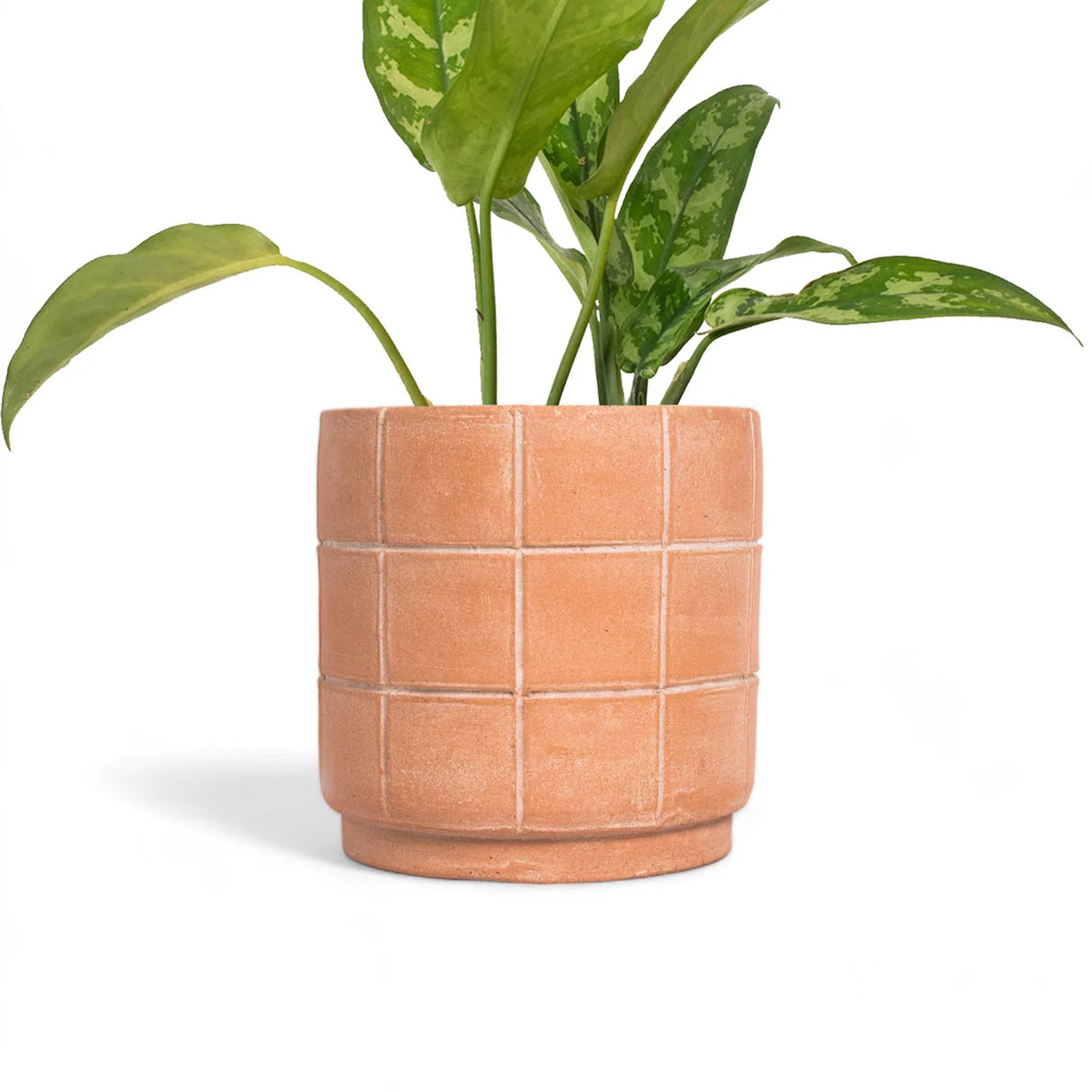 Grid Terracotta Planter - Large - Sumiye Co