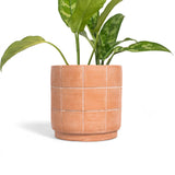 Grid Terracotta Planter - Large - Sumiye Co