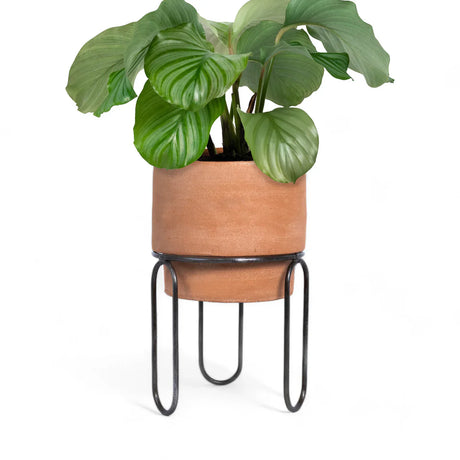 Jaro Medium Terracotta Planter - Sumiye Co
