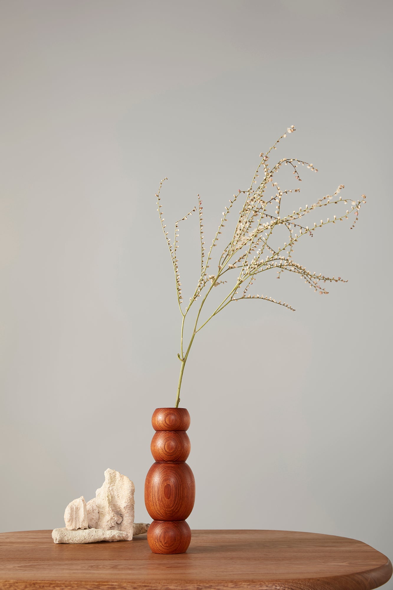 Venus Flower Vase 1 - Granadillo Wood | Colombia