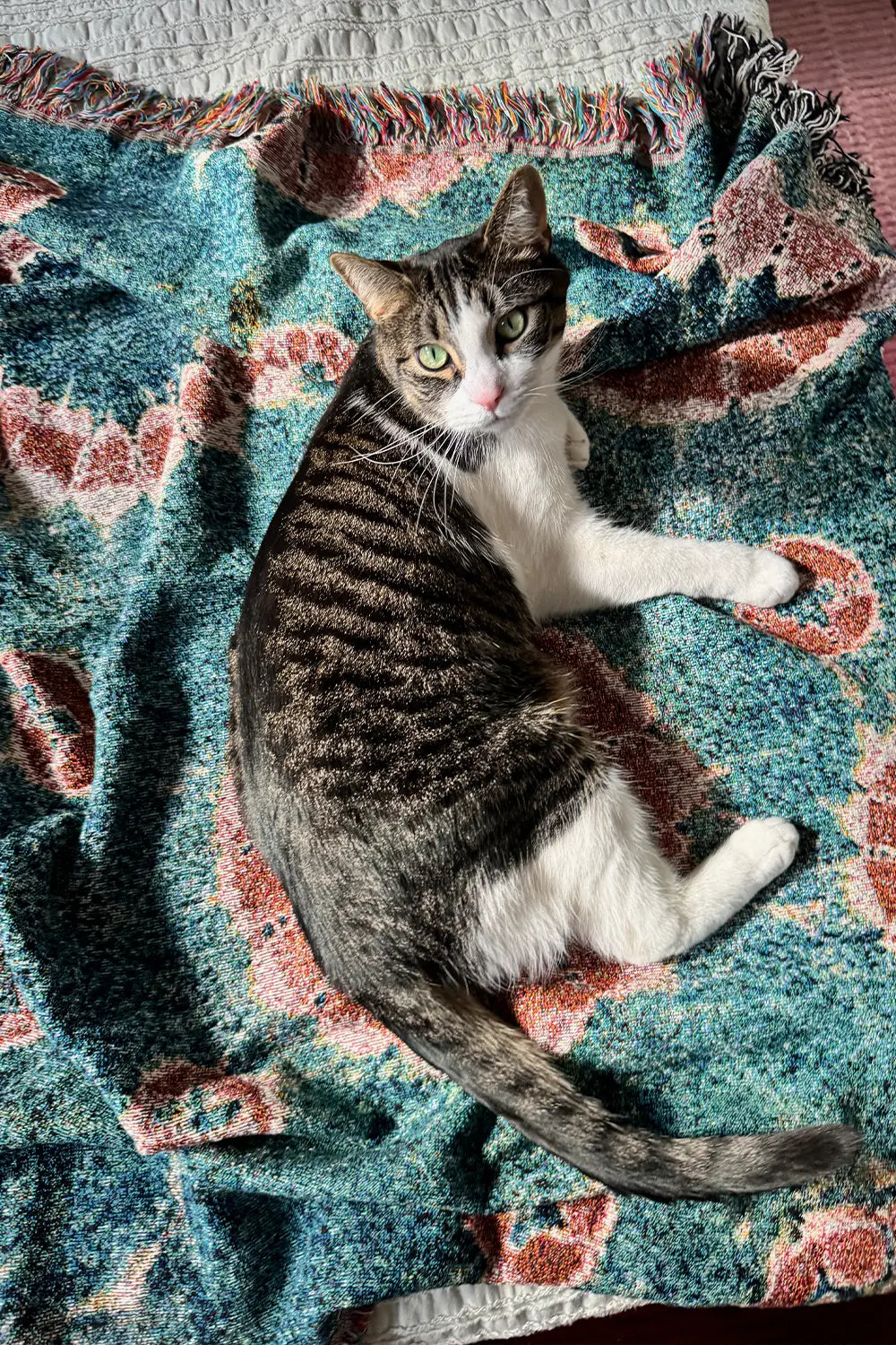 Colorful Blue and Red Woven Throw Blanket with Fringe - Great for Living Room or Bedroom Decor
