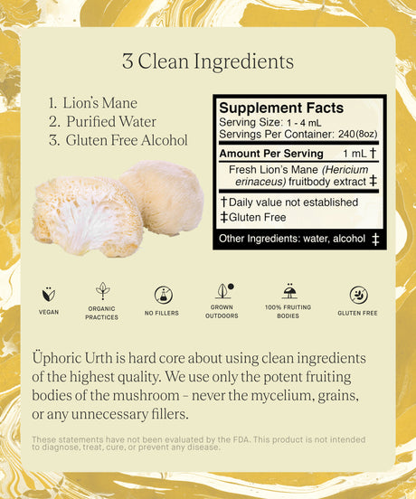 No. 01 — Lions Mane Tincture | Focus, Cognition, Creativity, Brain Health - Sumiye Co