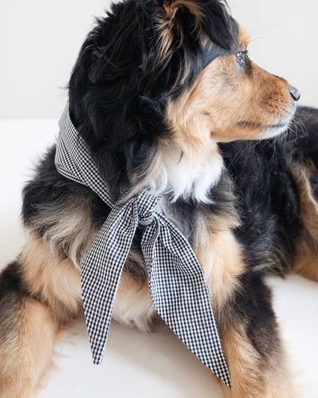 Pet Classic Necktie - Sumiye Co