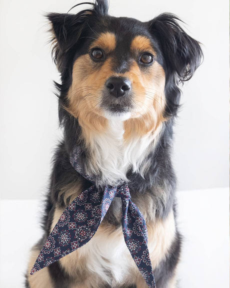 Pet Classic Necktie - Sumiye Co
