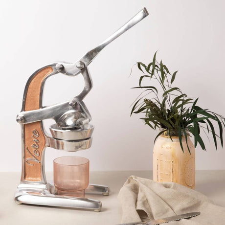 Artisan Citrus Juicer - Small - Sumiye Co