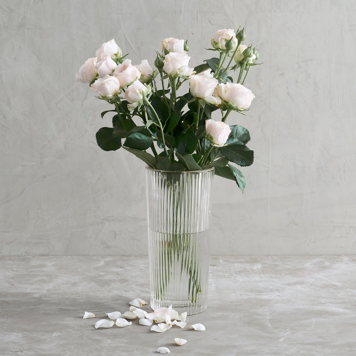 Ribbed Clear Glass Column Vase